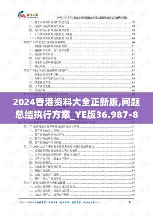 2024香港资料大全正新版,问题总结执行方案_YE版36.987-8