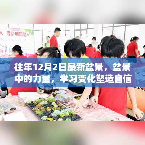 盆景的力量,塑造自信与成就,追寻梦想的脚步不停歇