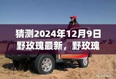 野玫瑰绽放的奇妙之旅,学习变化与自信成就的未来展望,预测至2024年12月9日