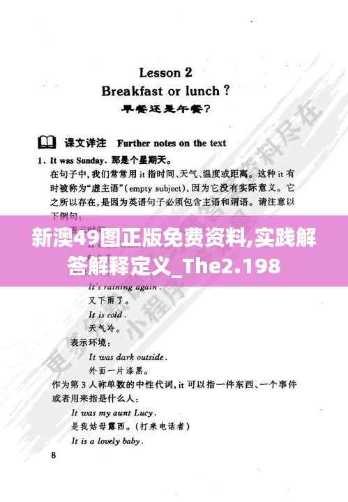 新澳49图正版免费资料,实践解答解释定义_The2.198