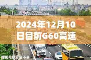 G60高速实时路况播报,温情时光下的奇妙旅程