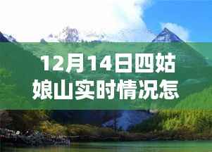 雪域秘境四姑娘山,探寻内心宁静与喜悦的实时体验之旅