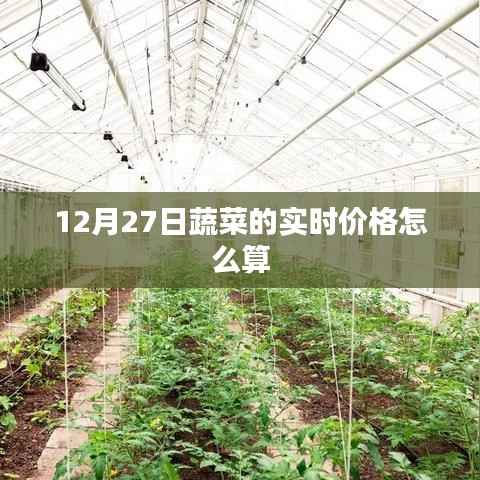 12月27日蔬菜实时价格计算方式解析