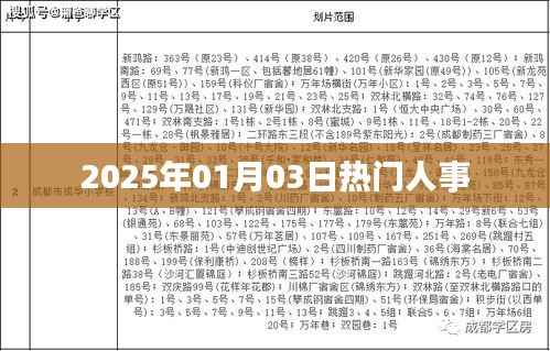 2025年人事风云变幻,职场热点人物盘点