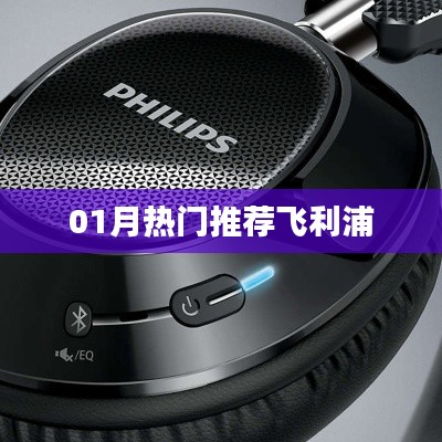 权贵显要 第3页