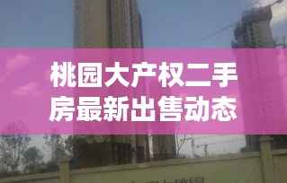 桃园大产权二手房最新出售动态速递