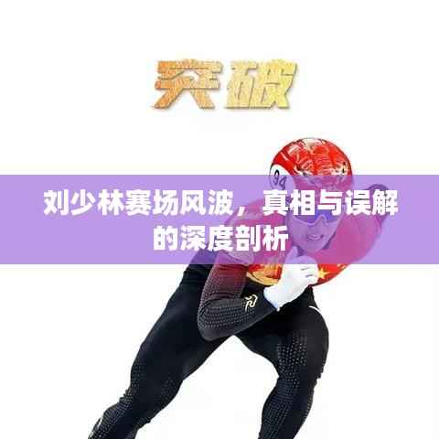 刘少林赛场风波,真相与误解的深度剖析