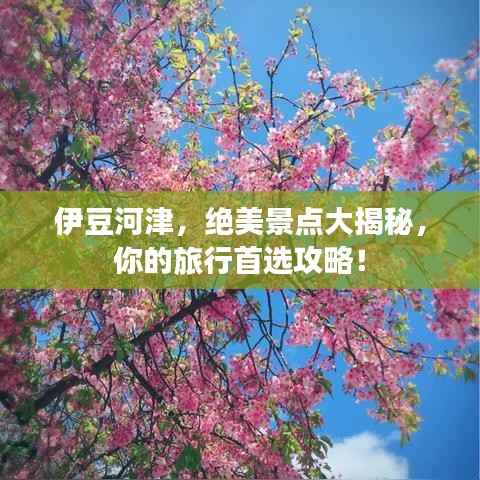 伊豆河津,绝美景点大揭秘,你的旅行首选攻略!