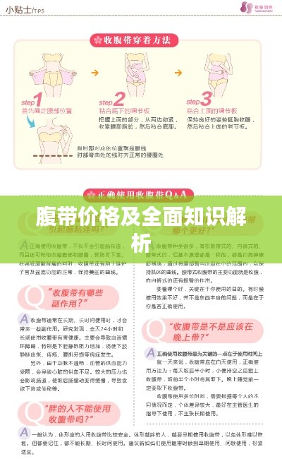 腹带价格及全面知识解析