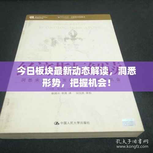 今日板块最新动态解读,洞悉形势,把握机会!