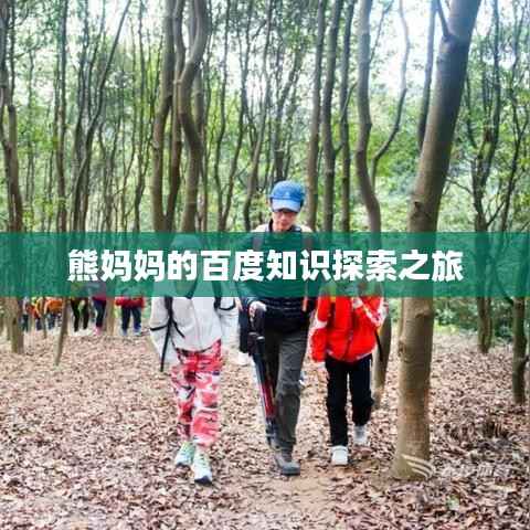 熊妈妈的百度知识探索之旅